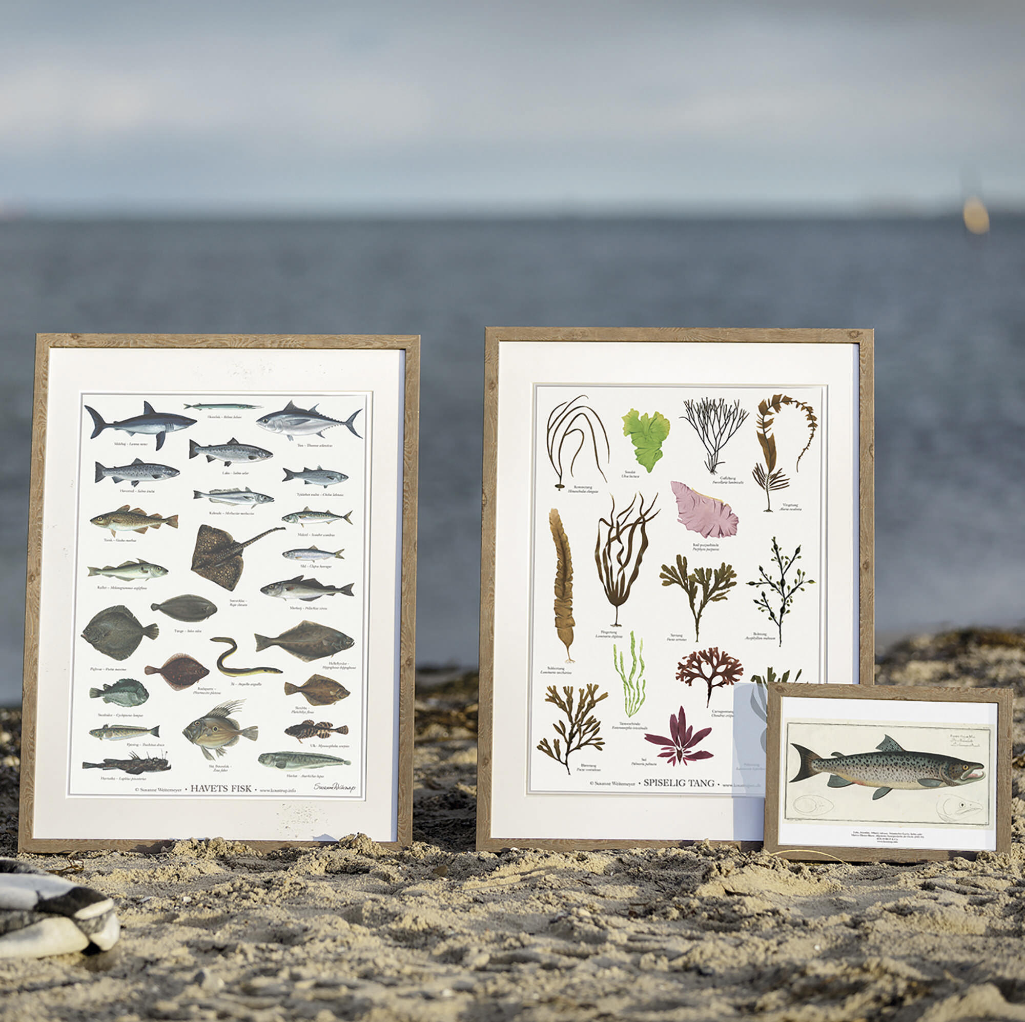 36304324 1865323740157248 6192368407241818112 O 36304324 1865323740157248 6192368407241818112 O